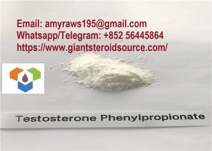 Test Phenylpropionate Steroid Hormoen Surovi prašek Testosteron Phenylpropionate Factory z visoko čistostjo