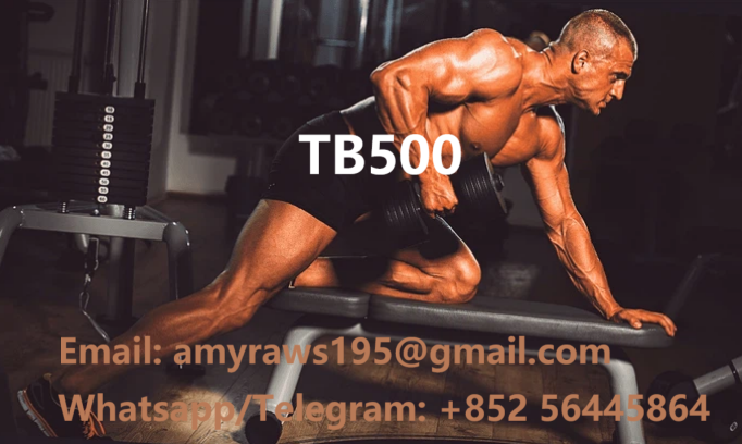 product-682-408 product-682-408